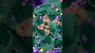 Download lagu Bunga Dahlia. mp3