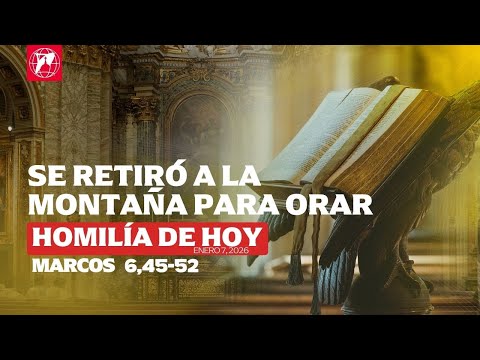 Lecturas y homilía - 7 de enero 2026 - P. Patrick Mary, MFVA