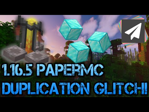 Minecraft 1.16.5 Multiplayer Any Item Duplication Glitch! (PaperMC Working)