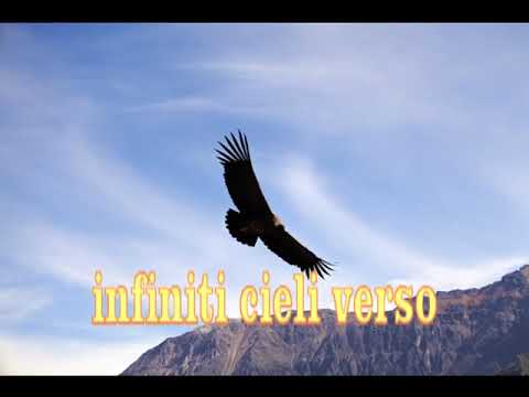 poesia di giovani lembo 'Hai un cuore di un angelo''