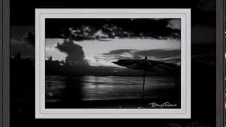 The ladder Sierra Swan