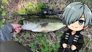 【バス釣り】    Bass Fishing Japan River