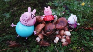 Świnka Peppa na grzybach - Bajka po polsku Zabawa w lesie Peppa Pig Peppa Wurst
