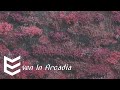 Sleep Token Even In Arcadia FULL ALBUM