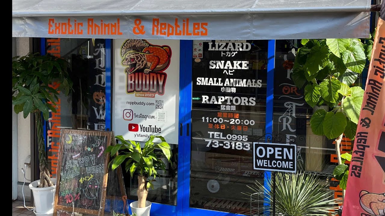 「鹿児島めぐり」爬虫類ショップと植物店へ行く