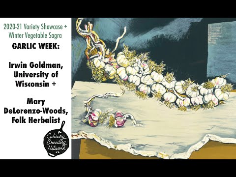 , title : 'GARLIC WEEK: Irwin Goldman, University of Wisconsin and Mary DeLorenzo-Woods, Folk Herbalist'
