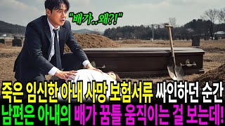 Download lagu 비밀리에 죽은 임신한 아내 땅에 매장하려는 순간, 남편은 아내의 배가 움직이는 걸 보게 되는데!! mp3
