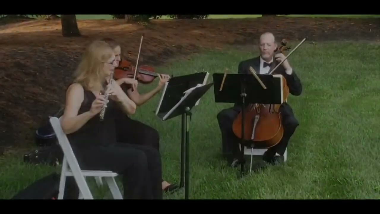 Promotional video thumbnail 2 for Princeton Music Connection