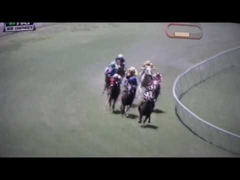 BOB UMPUREY SPRINT (G STAKES) 2017 -  PAY ANY PRICE !!!