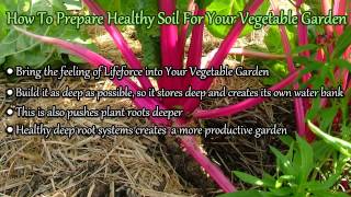How To Prepare Healthy Soil For Your Vegetable Garden