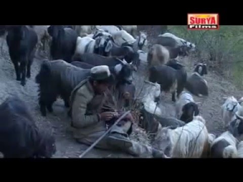 Palas Chaang_Kinnauri Video