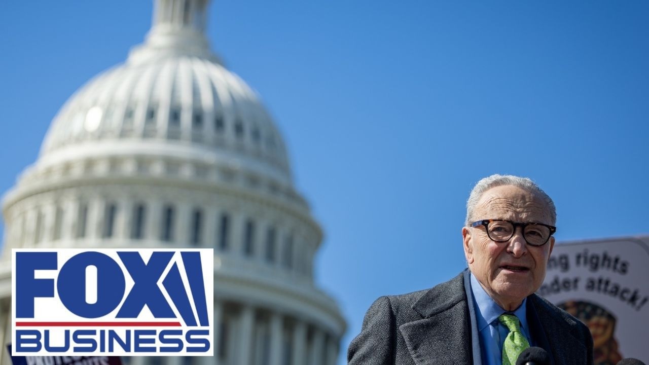 Democrats want to be able to 'CHEAT,' says GOP senator