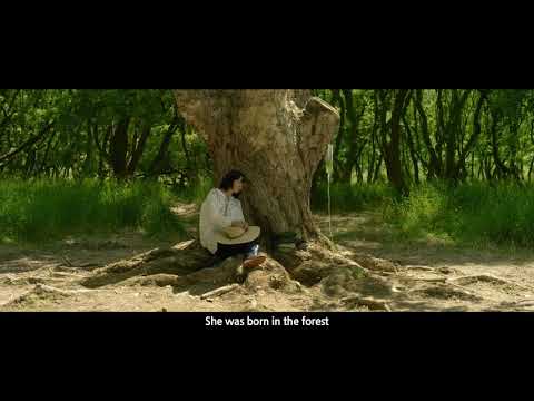 Трейлер