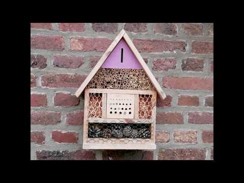 Insect hotel timelapse