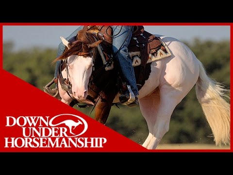 Clinton Anderson: Titan A Legend in the Making Series - Downunder Horsemanship