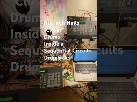 Nin “closer” EPROMs for a Sequential Circuits Drumtracks image 4