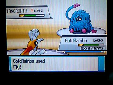 Pokemon soulsilver Erica and Janine rematch battle