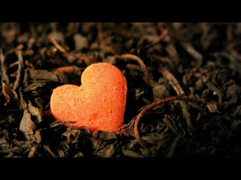 Një person që bën këto vepra a mund të ketë zemër të bardhë dhe të pastër?