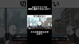 ウクライナが領土を譲れない理由「停戦は平和ではなく、ただの休憩か？」　#ロシアウクライナ戦争 #ウクライナ戦争 #ウクライナ #ロシア #停戦 #国際情勢 #世界情勢 #戦争 #政治