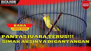 Download lagu PLECI 'BARA' REAL BURUNG MEWAH!!! TAMPIL APIK DI PIALA KOALISI 2022 mp3 Download lagu PLECI 'BARA' REAL BURUNG MEWAH!!! TAMPIL APIK DI PIALA KOALISI 2022 mp3