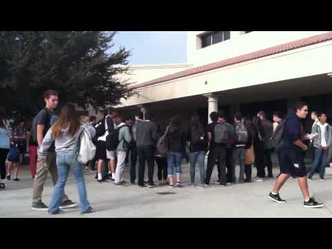 BHS BEC: Conformity/Bandwagon Experiment