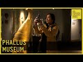 Icelandic Phallological Museum Phallus Museum