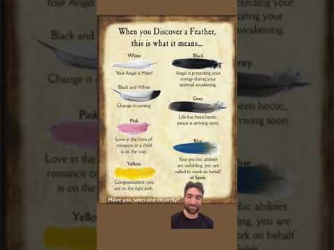 Discovering a feather meaning