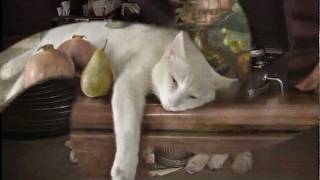 rodolfo santandrea - non più andrai (mozart - da ponte)