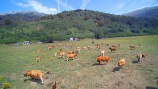 Vídeo del Refugio de Brañagallones