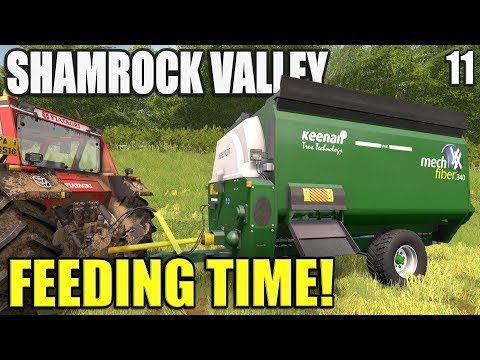 THIS HAS BEEN A LONG TIME COMING | Shamrock Valley | Farming Simulator 17 - #11