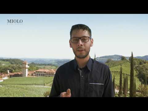 Alísios Export | Miolo