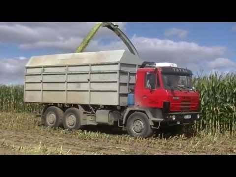 Sklizeň Kukuřice Luková s Tatrou Phoenix 8x8