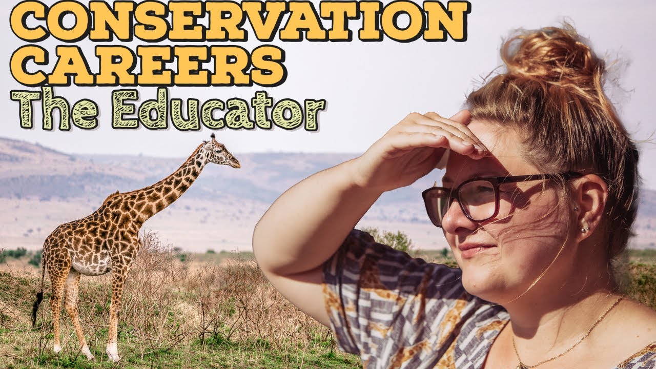A conservation career with education