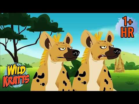 Giraffes, Zebras, and Lions | Savanna Safari Adventure | Wild Kratts | Scholastic Kids