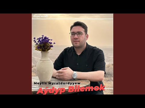 Aýdyp Bilemok