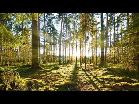 How to Create Light Rays in Photoshop