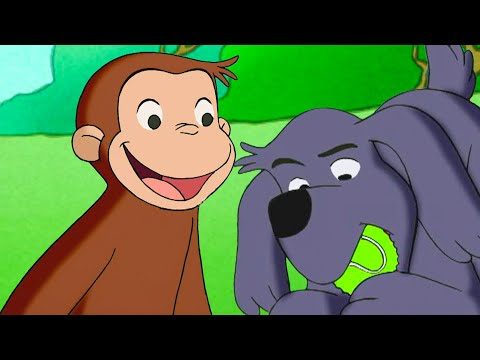 ¿¡Una escuela para perros!? | Jorge El Curioso En Español