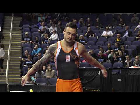 Bart Deurloo (NED) - Parallel Bars - 2019 American Cup