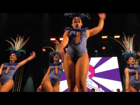 GRES Charanguinha -  Beija Flor 2011 @Apresentação Sambas Ovar 2020