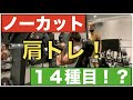 【肩トレする時以外見ないでください！】ナチュラルでメロン肩にしたいなら見てください！