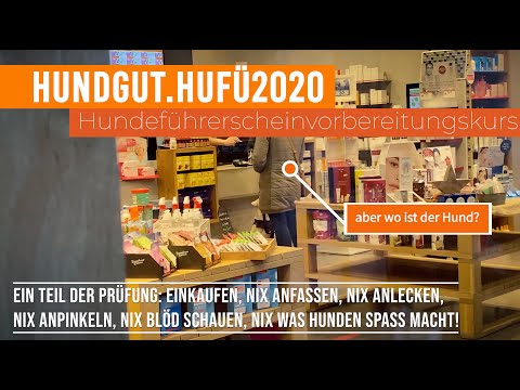 HundGut.Hufü2020 Hundeführerscheinvorbereitungkurs 01 Apotheke
