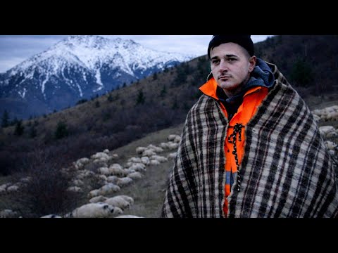 Marinel Ciobanasu' - 20 shepherd dogs chased away 4 WOLVES that attacked the sheep!