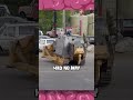 Marvin Heemeyer's Killdozer!