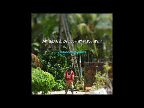 Jay Sean ft.  Davido - What You Want (Maiocchi Remix)