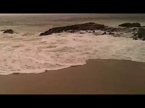 Catching Vibes in Laguna Beach