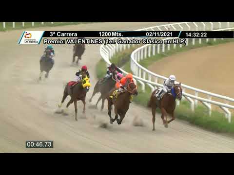 211102 c03 - WARDIANA DOR - HIPODROMO LAS PIEDRAS
