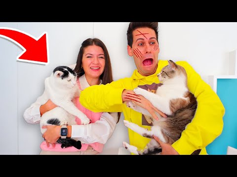 ADOTTIAMO UN GATTINO!!