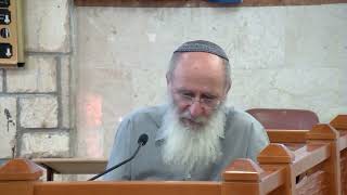 מה היה צריך לברך בן גוריון בהקמת המדינה? – שיעור 127 – ספר במדבר