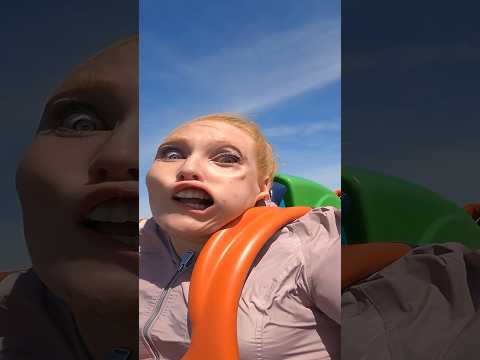 Maria Jordan - Roller Coaster View - Misc Originals
