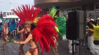 サンバ【美しく調整中】